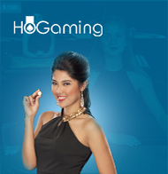IDNSEAMLESS-HOGAMING